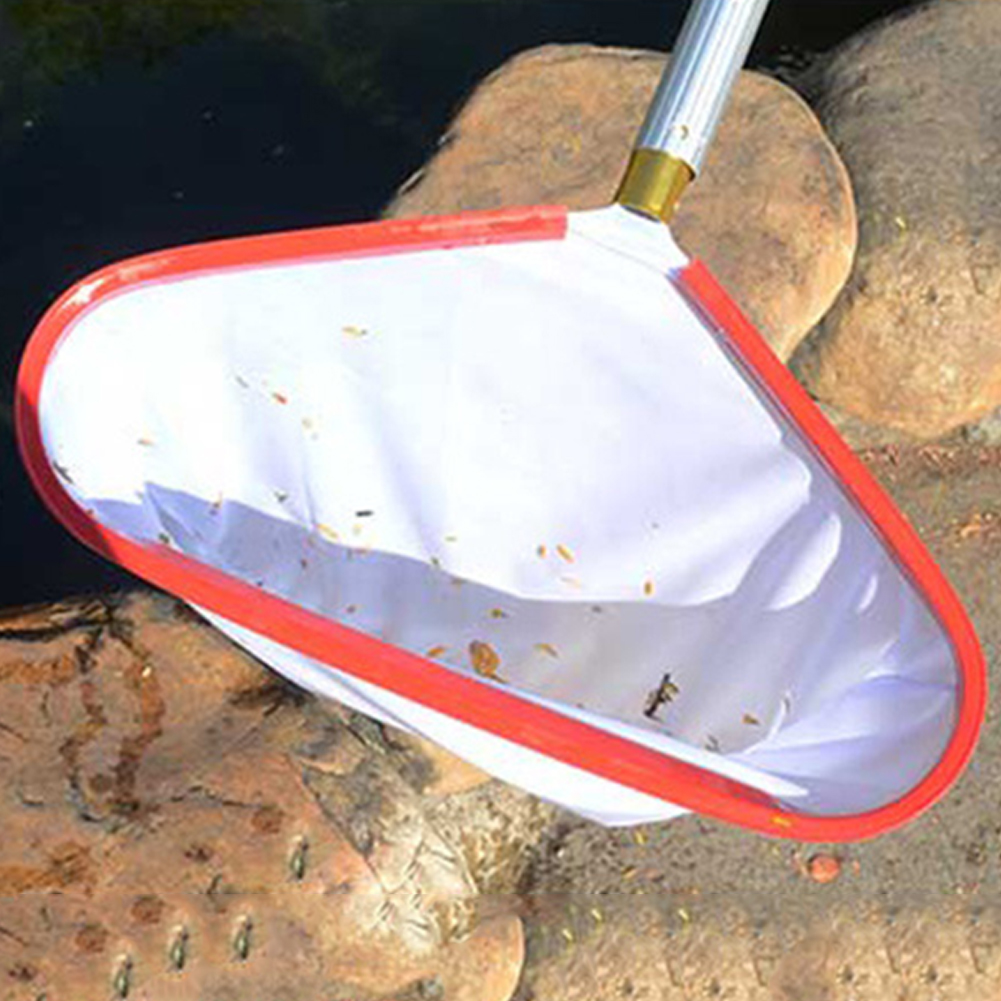 Guadino per piscina Rete per p - Pool Skimmer Net recensione e prezzo